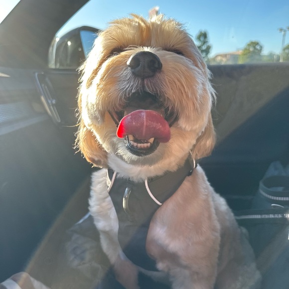 🌺 About Me 🌺 - Picture 3 of 5